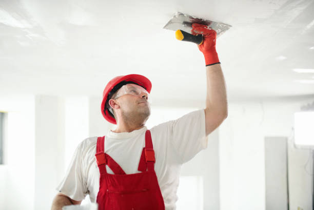 Best Mold Remediation for Healthcare Facilities  in USA